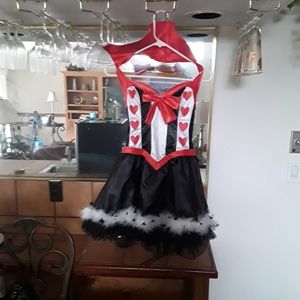 Halloween Costume Queen Of Hearts